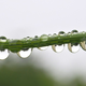 Image for article titled Refraction Shooting Challenge Gallery 2